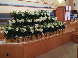 Easter Lilies in Church