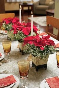 Small red poinsettias line center of  holiday table
